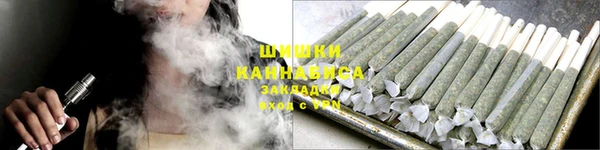 стаф Рославль